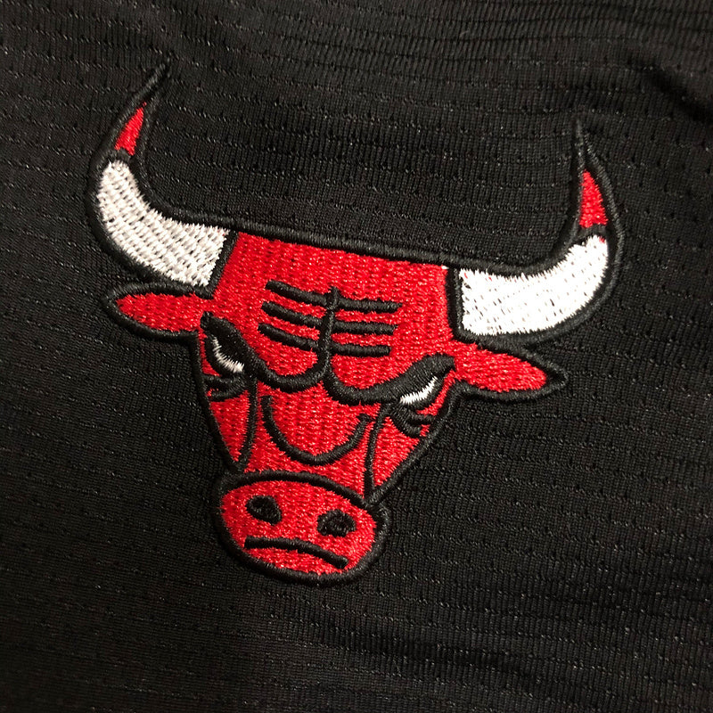 Bulls Training Shorts