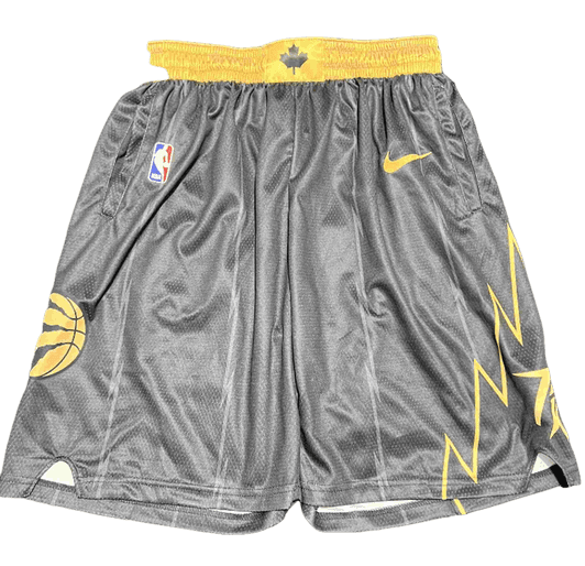 Raptors Gray Team Shorts