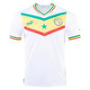 2022 World Cup Senegal Home & Away Kit (Custom)