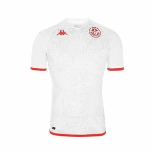 2022 World Cup Tunisia Home & Away Kit (Custom)